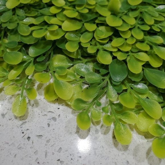 NEW Green Plants 🌿 Table Runner Mat Cover Indoors Outdoors Home Decor L👀K 🌱🌿 - Picture 6 of 12